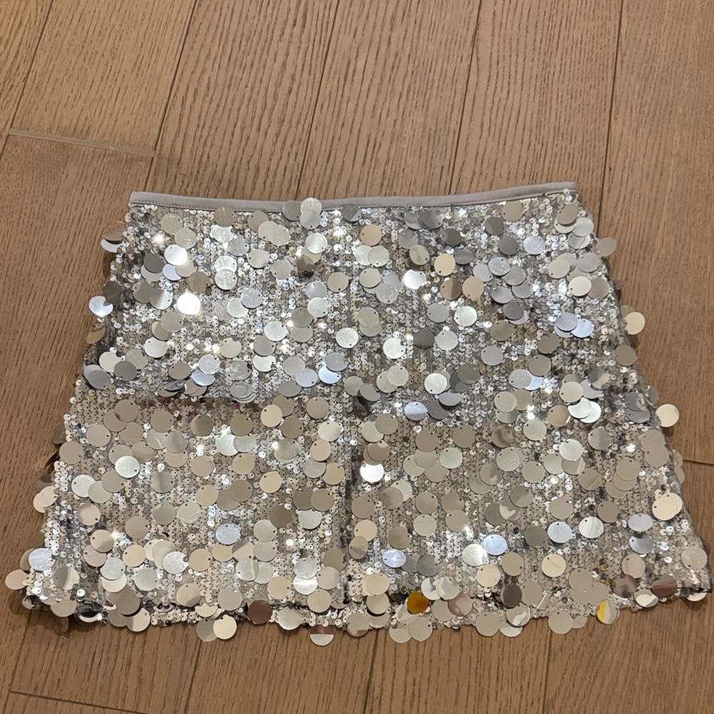 Zara sequin skirt